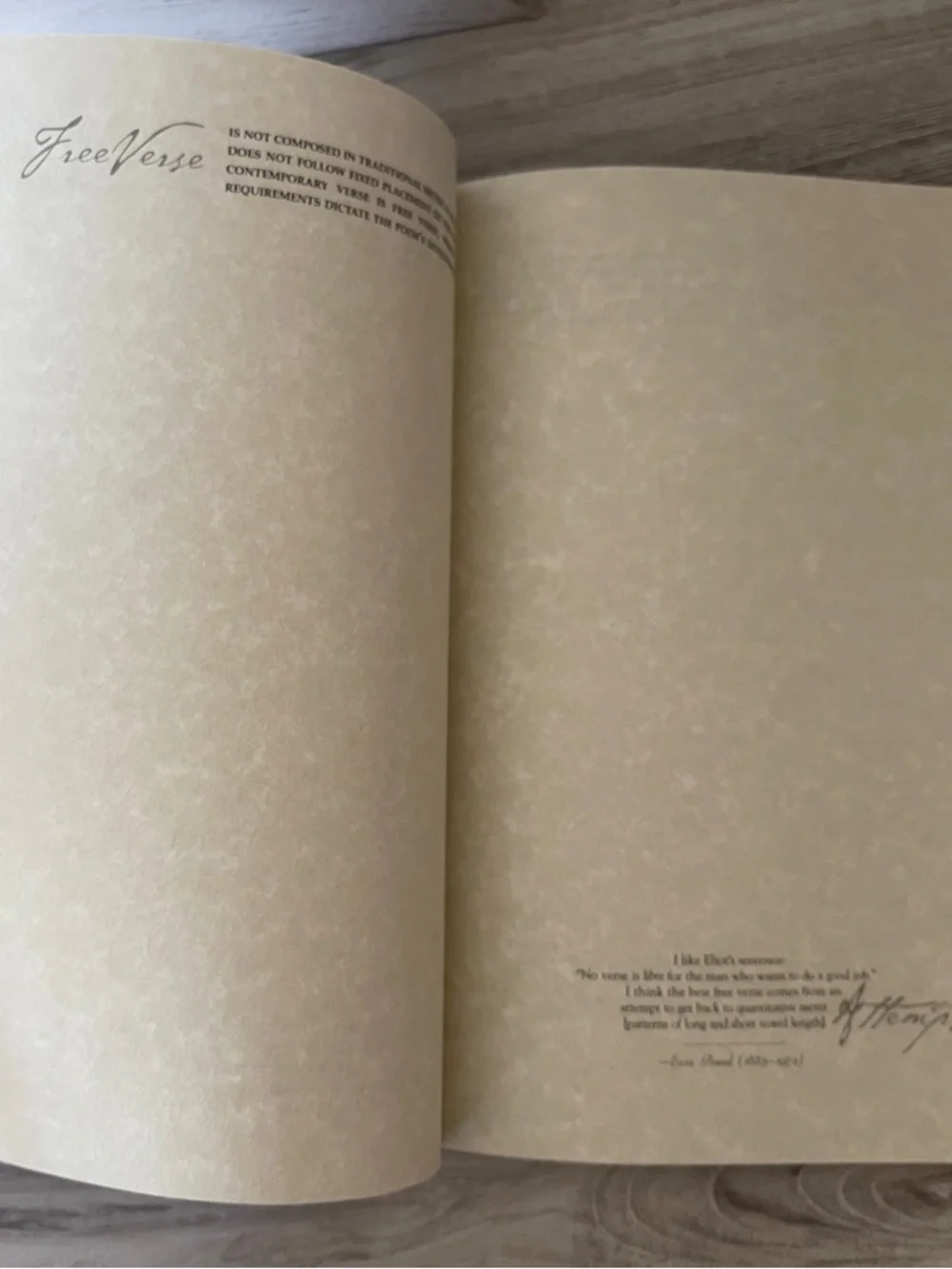 Y2K Poet Notebook - Picture 11 of 15